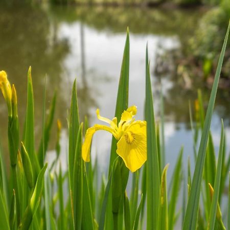 East Green Farm Cottages - The Granary Saxmundham Luaran gambar