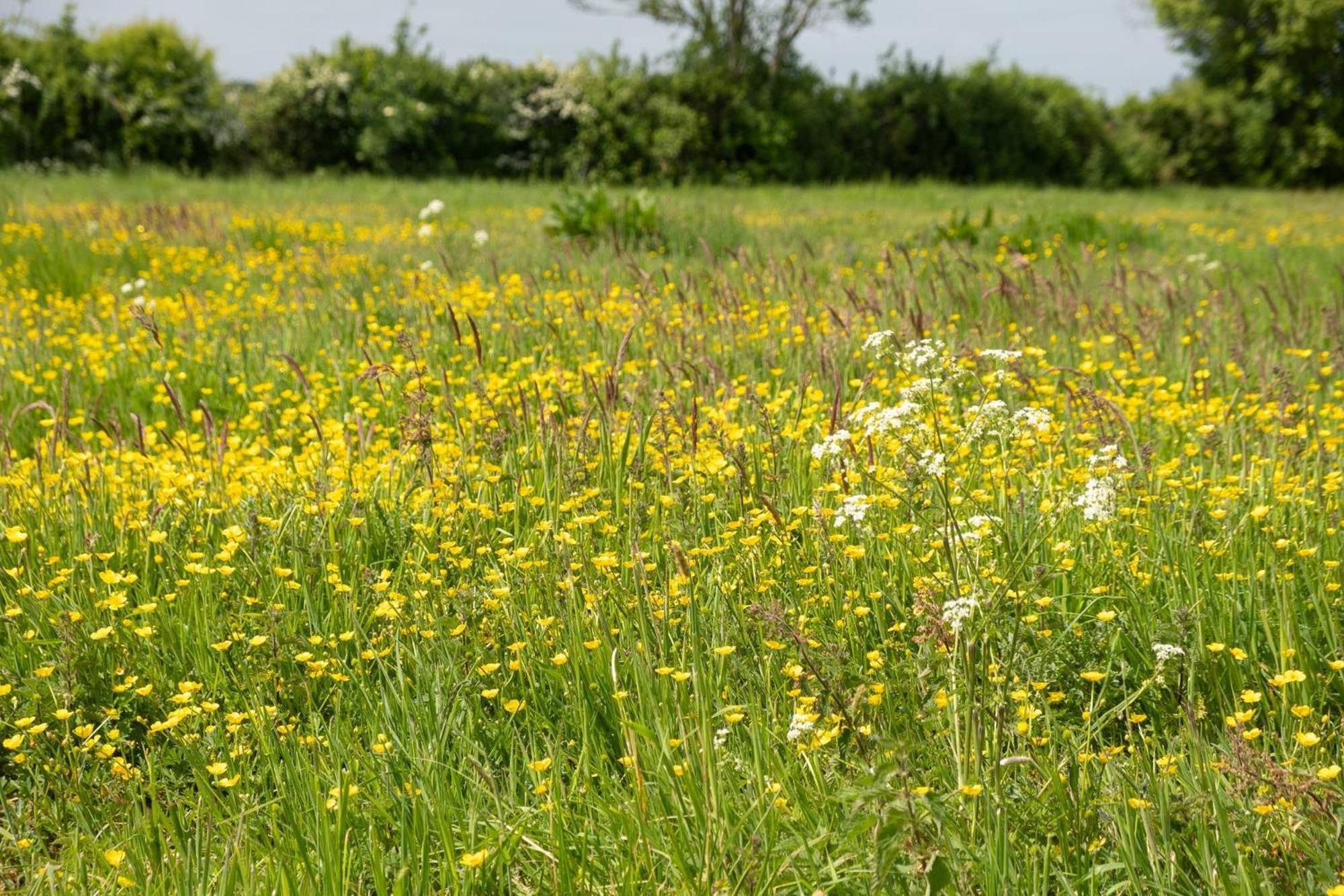 East Green Farm Cottages - The Granary Saxmundham Luaran gambar